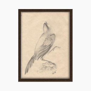Miniature painting on paper – Sparrow (Siah Qalam) – Code 1030201